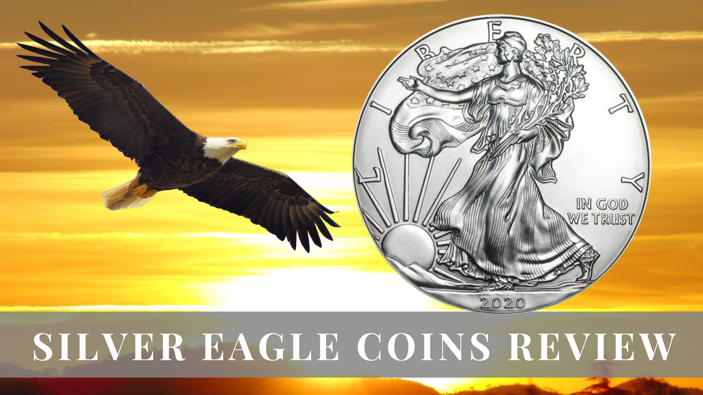 silver eagle coins review by numismatic traders